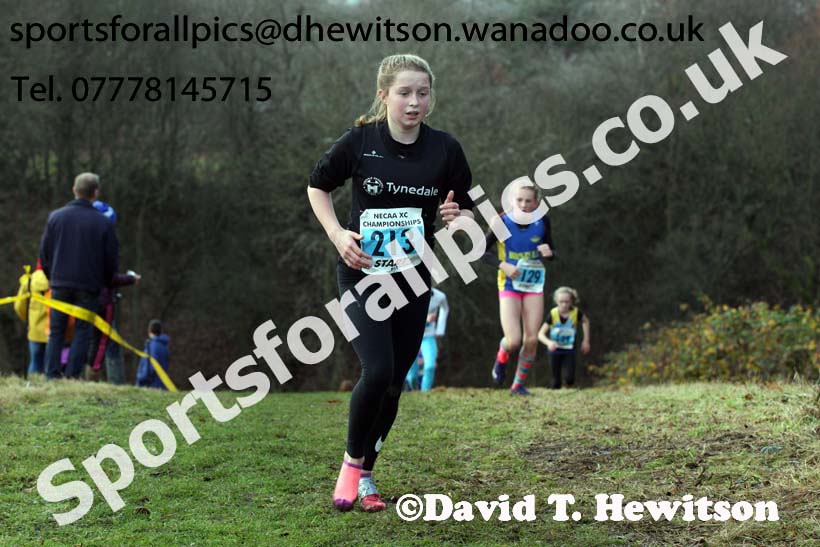 Girls under-13s North Eastern Cross Country, Aykley Heads, Durham. Photo: David T. Hewitson/Sports for All Pics